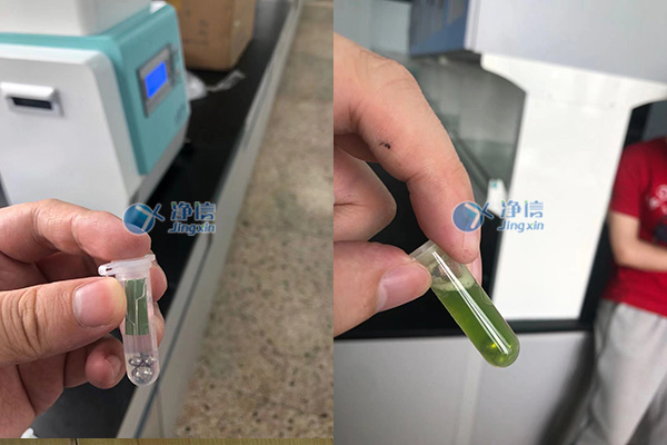 1653556243187777.jpg 樣品研磨效果圖